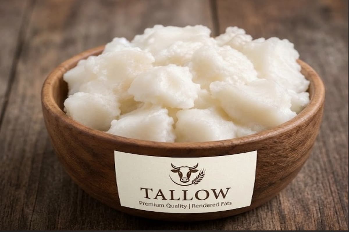 Tallow - Rendered animal fat for industrial soap and oleochemical use.